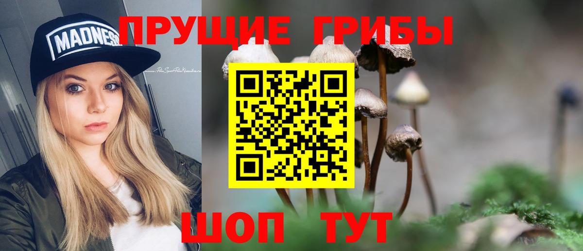 Псилоцибиновые грибы Psilocybe Ростов Великий